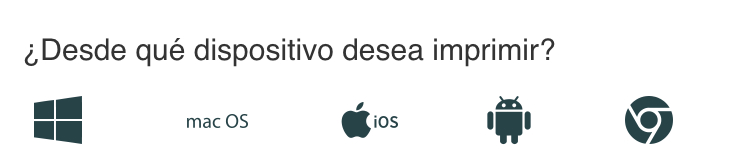 Tipo de sistema operativo en dispositivo personal
